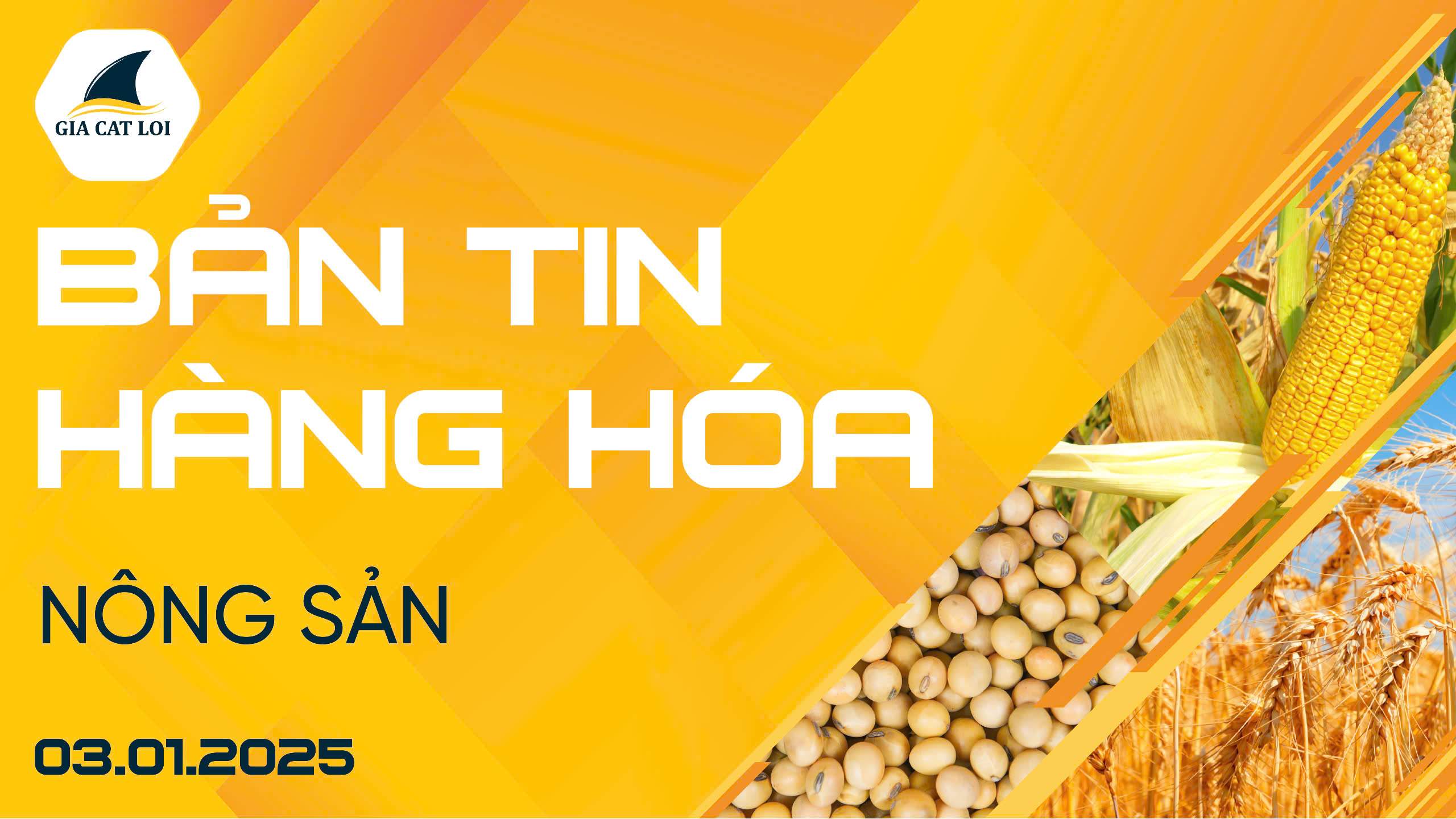Bản Tin Nhóm Nông Sản Ngày 03/01/2025