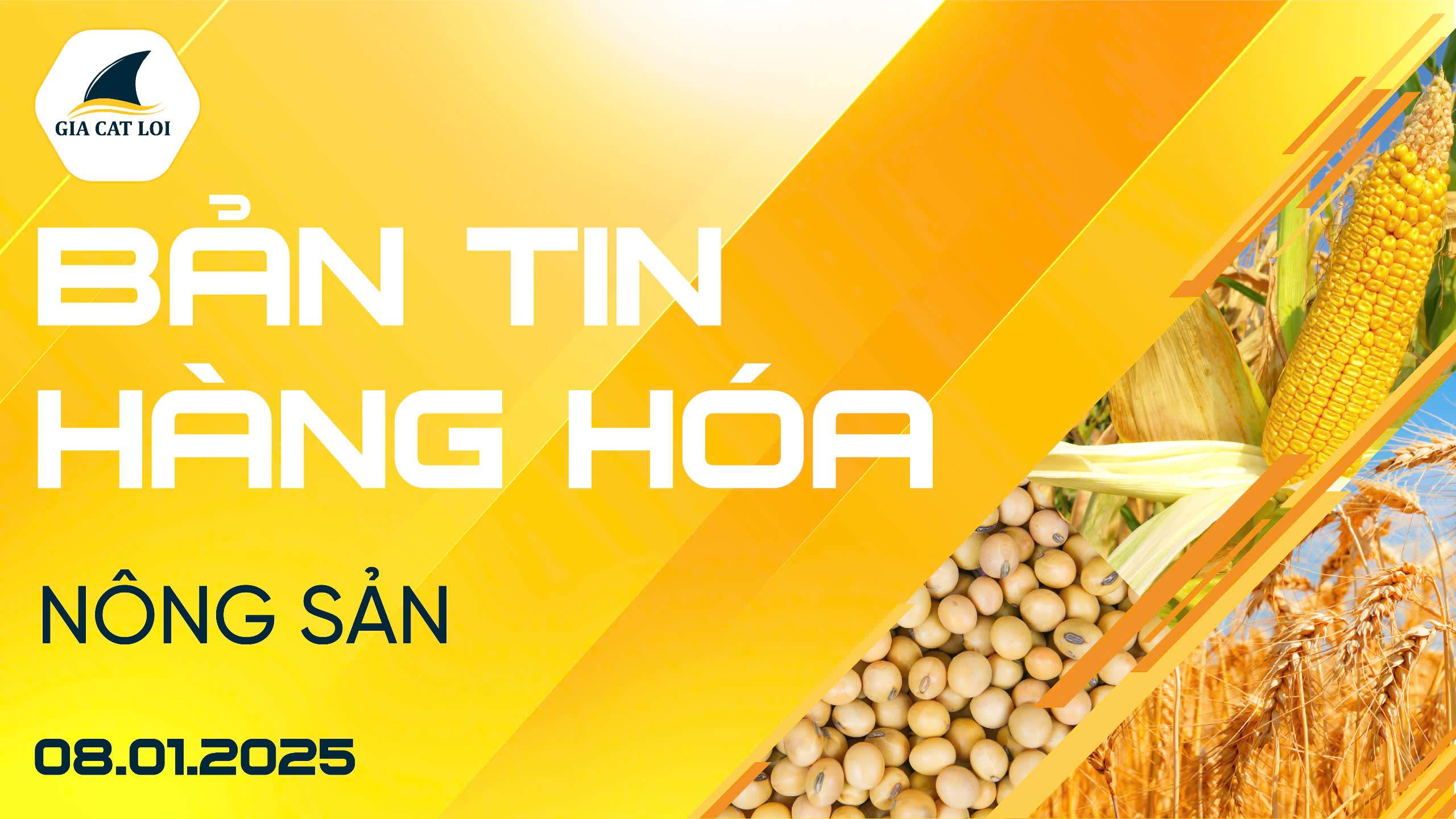 Bản Tin Nhóm Nông Sản Ngày 08/01/2025