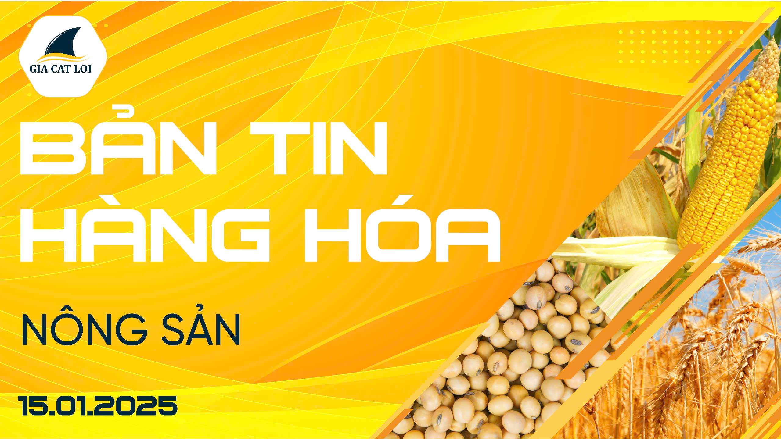 Bản Tin Nhóm Nông Sản Ngày 15/01/2025