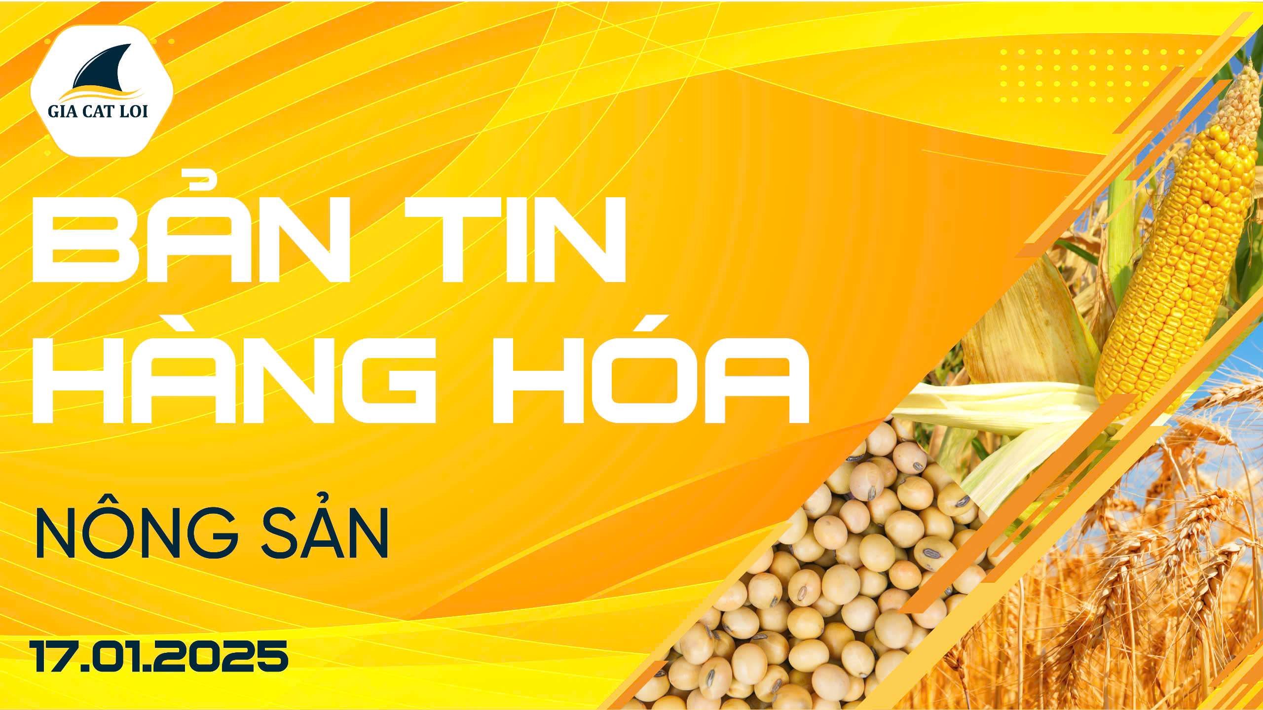 Bản Tin Nhóm Nông Sản Ngày 17/01/2025