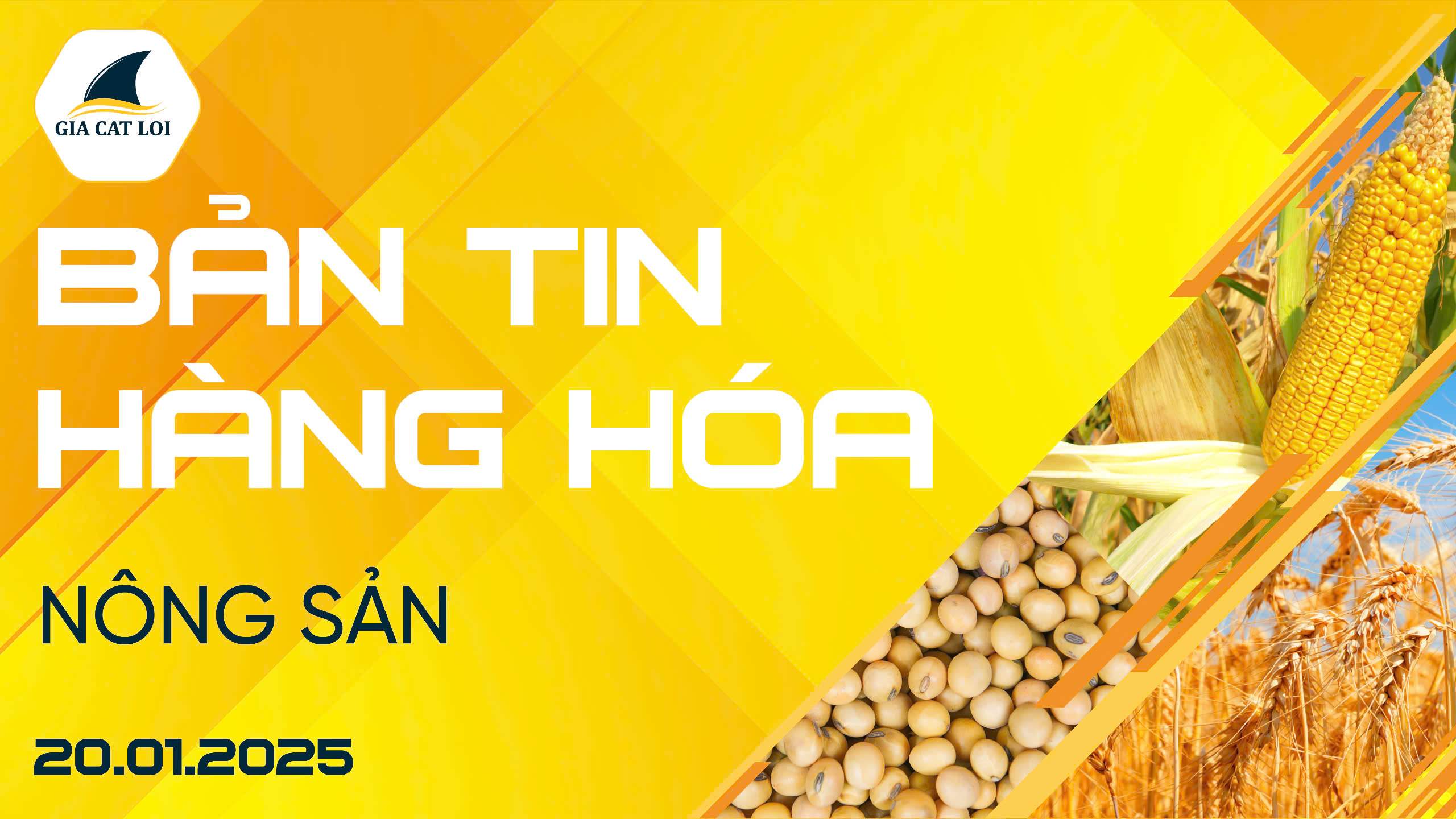 Bản Tin Nhóm Nông Sản Ngày 20/01/2025