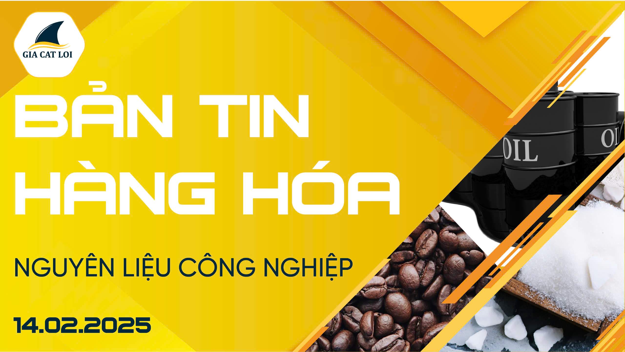 Bản Tin Nhóm Nguyên Liệu Công Nghiệp Ngày 14/02/2025