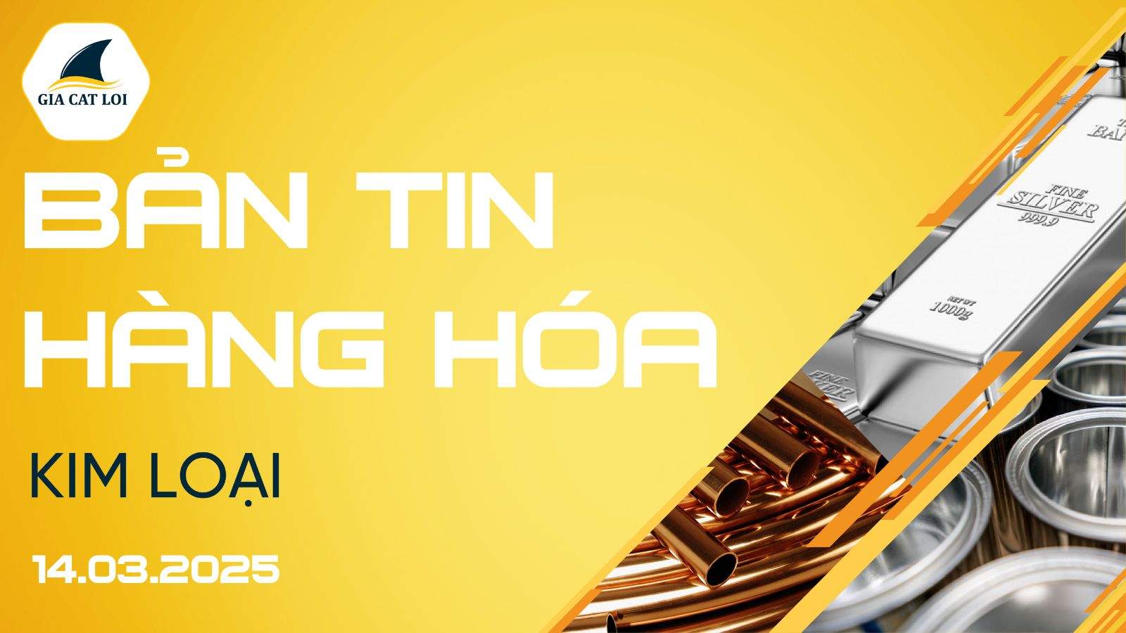 Bản Tin Nhóm Kim Loại Ngày 14/03/2025