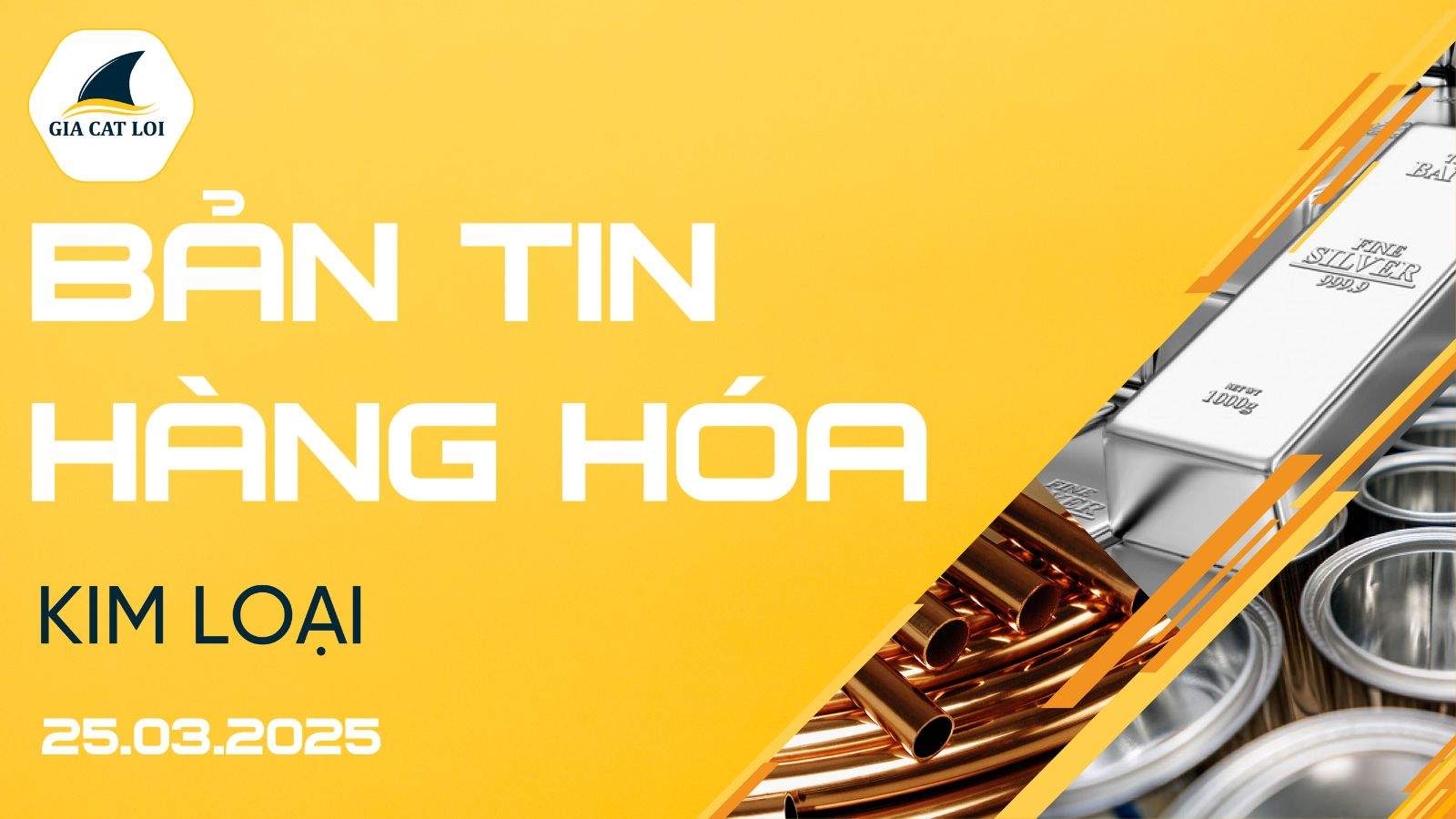 Bản Tin Nhóm Kim Loại Ngày 25/03/2025