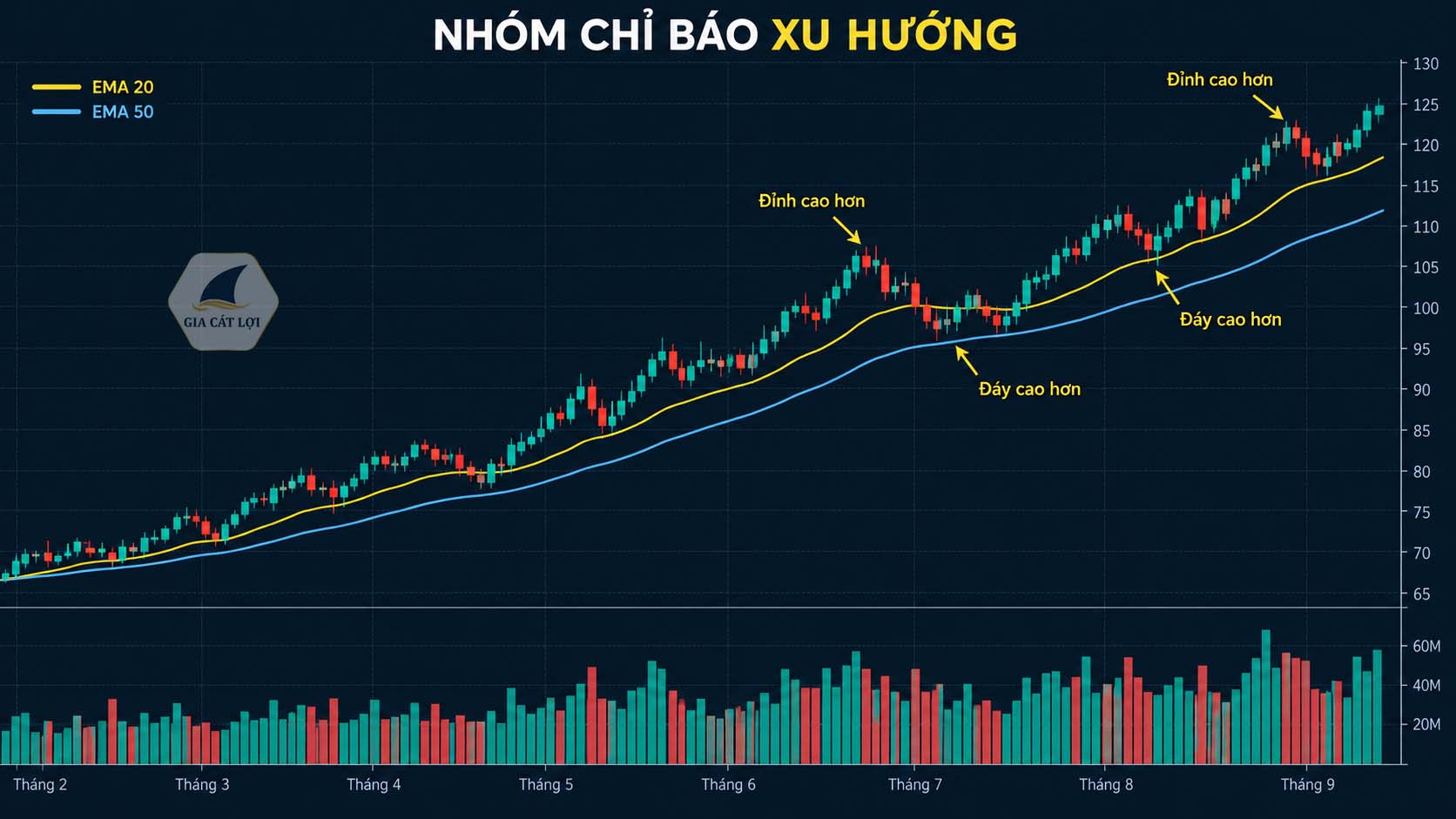 Nhóm chỉ báo xu hướng