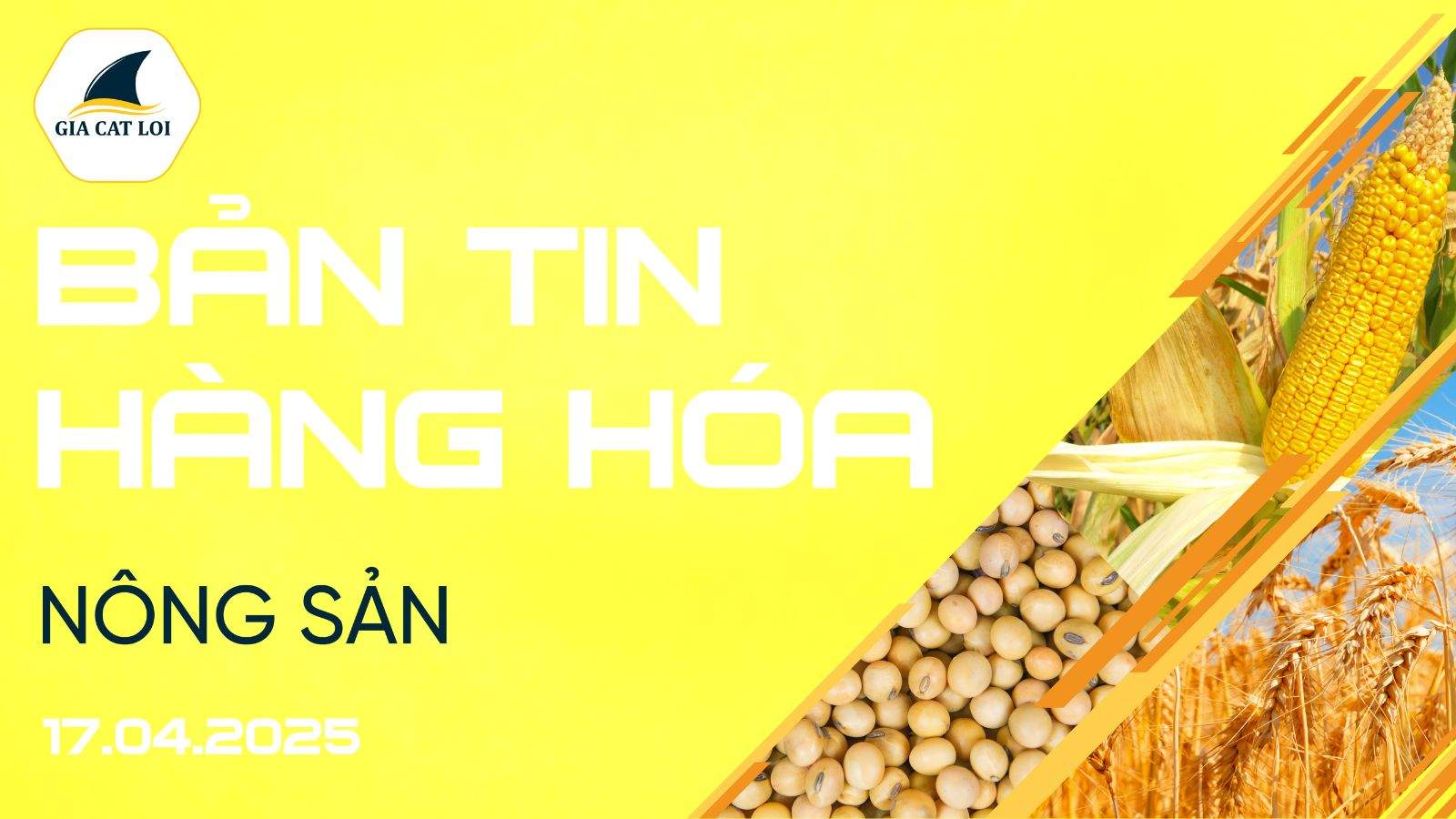 Bản Tin Nhóm Nông Sản Ngày 17/04/2025