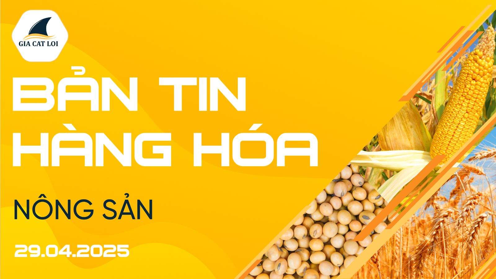 Bản Tin Nhóm Nông Sản Ngày 29/04/2025