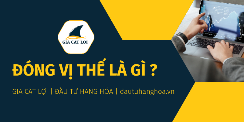 Dong vi the la gi