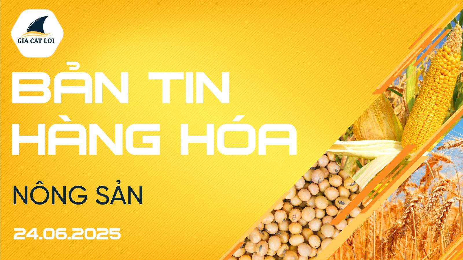 Bản Tin Nhóm Nông Sản Ngày 24/06/2025