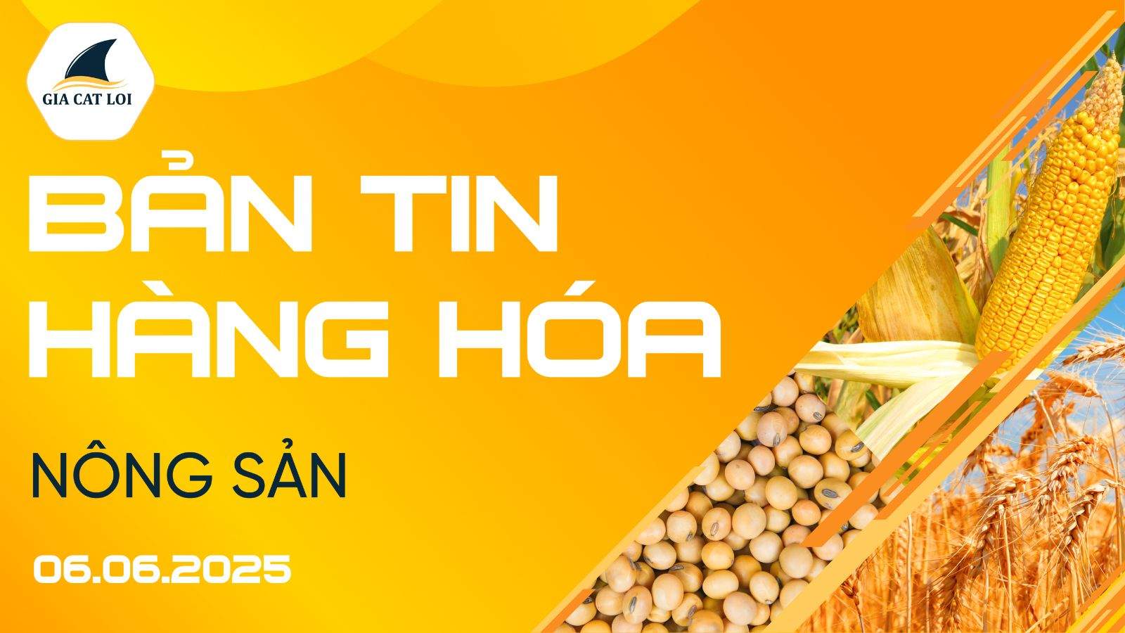 Bản Tin Nhóm Nông Sản Ngày 06/06/2025