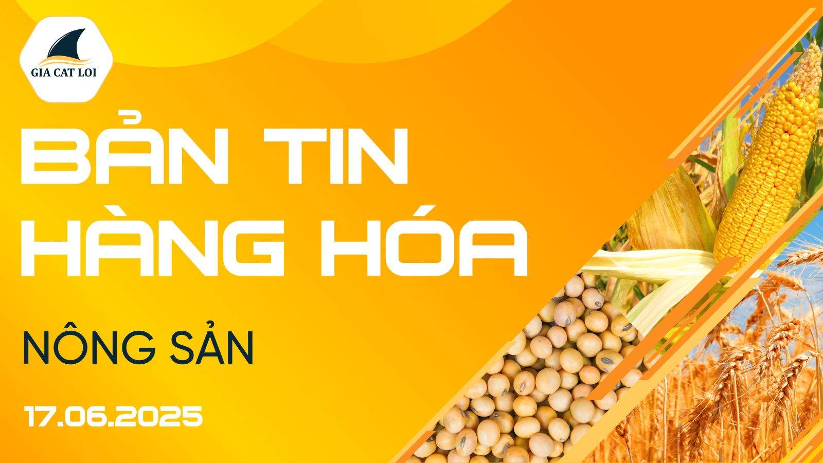 Bản Tin Nhóm Nông Sản Ngày 17/06/2025