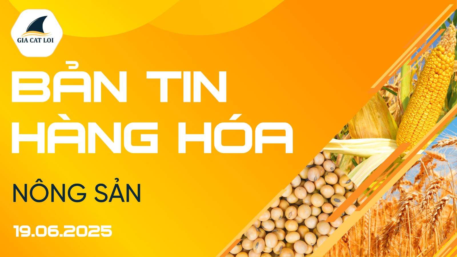 Bản Tin Nhóm Nông Sản Ngày 19/06/2025