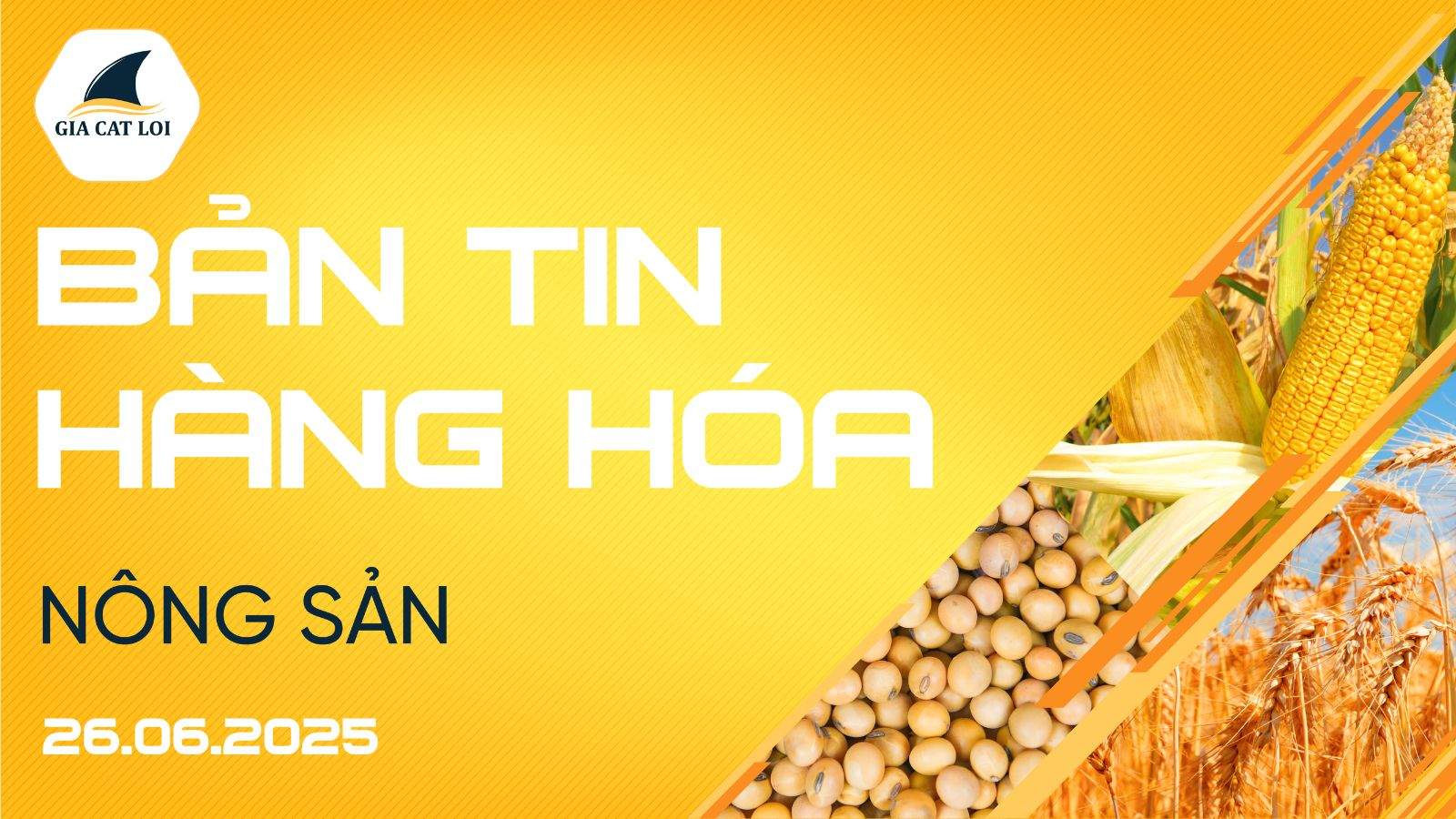 Bản Tin Nhóm Nông Sản Ngày 26/06/2025