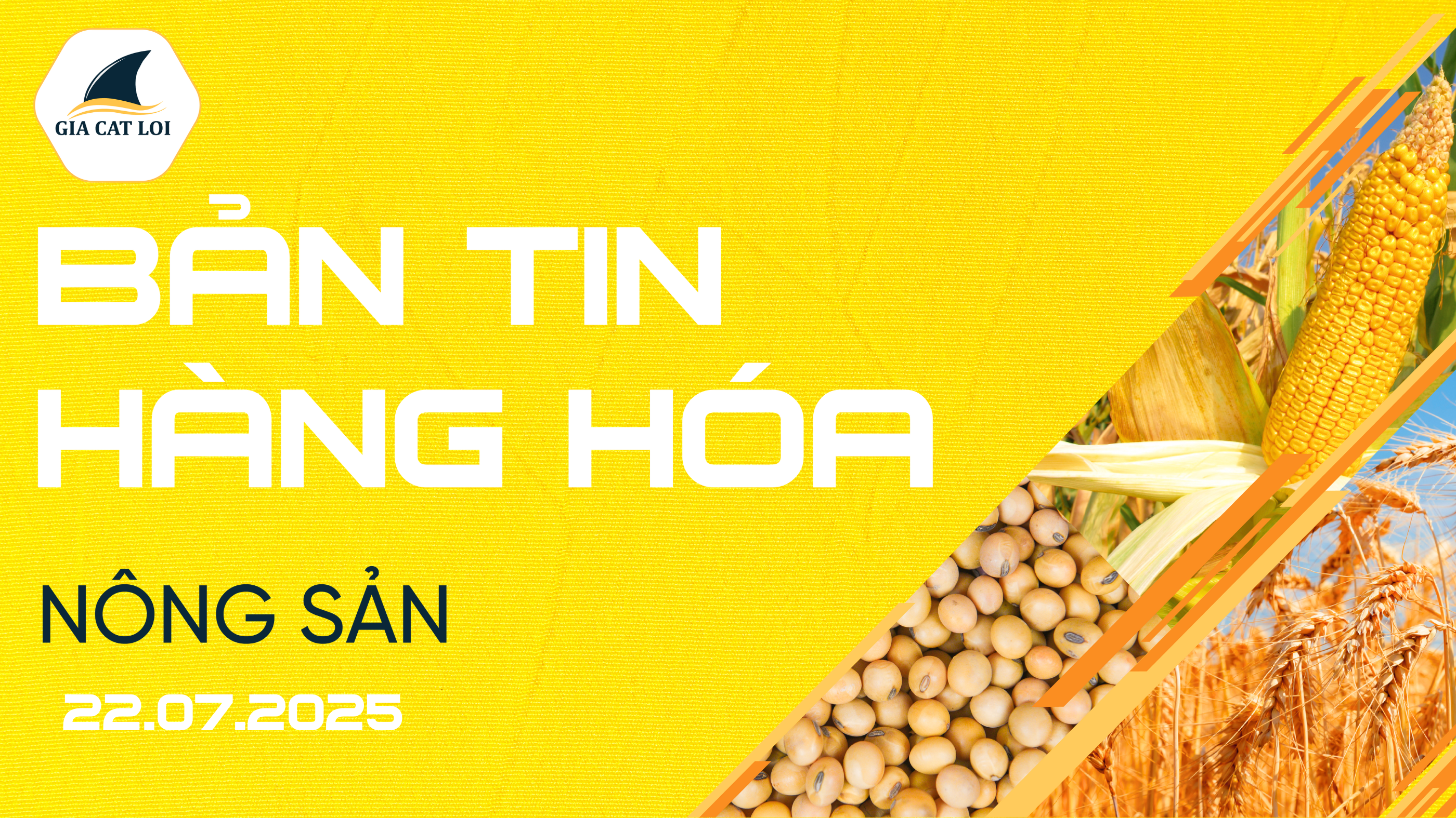 Bản Tin Nhóm Nông Sản Ngày 22/07/2025