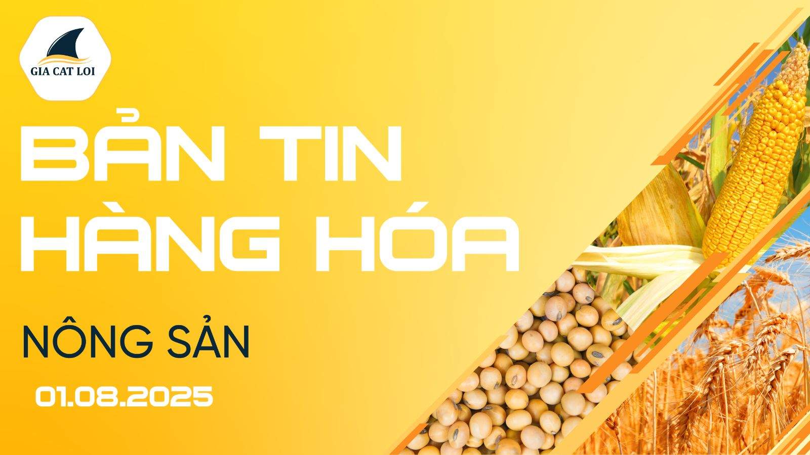 Bản Tin Nhóm Nông Sản Ngày 01/08/2025