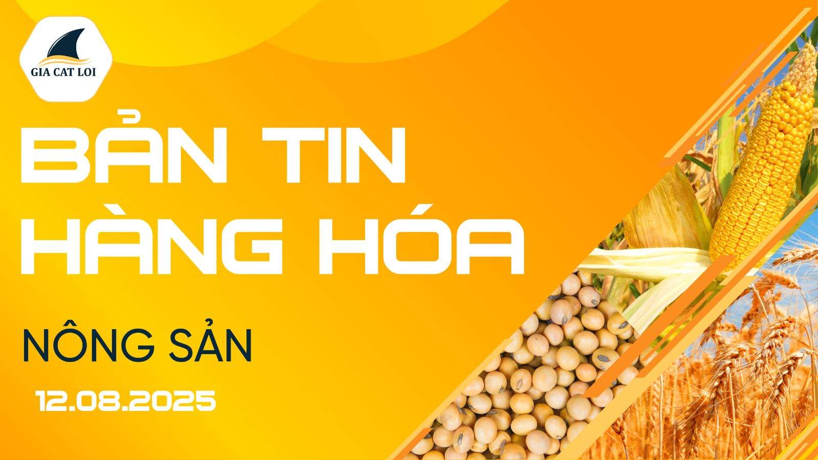 Bản Tin Nhóm Nông Sản Ngày 12/08/2025
