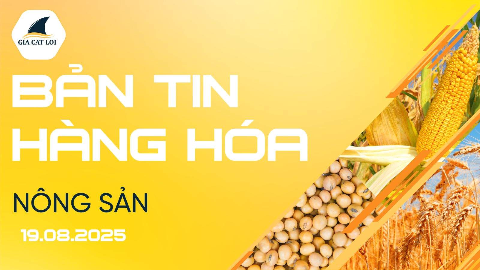 Bản Tin Nhóm Nông Sản Ngày 19/08/2025