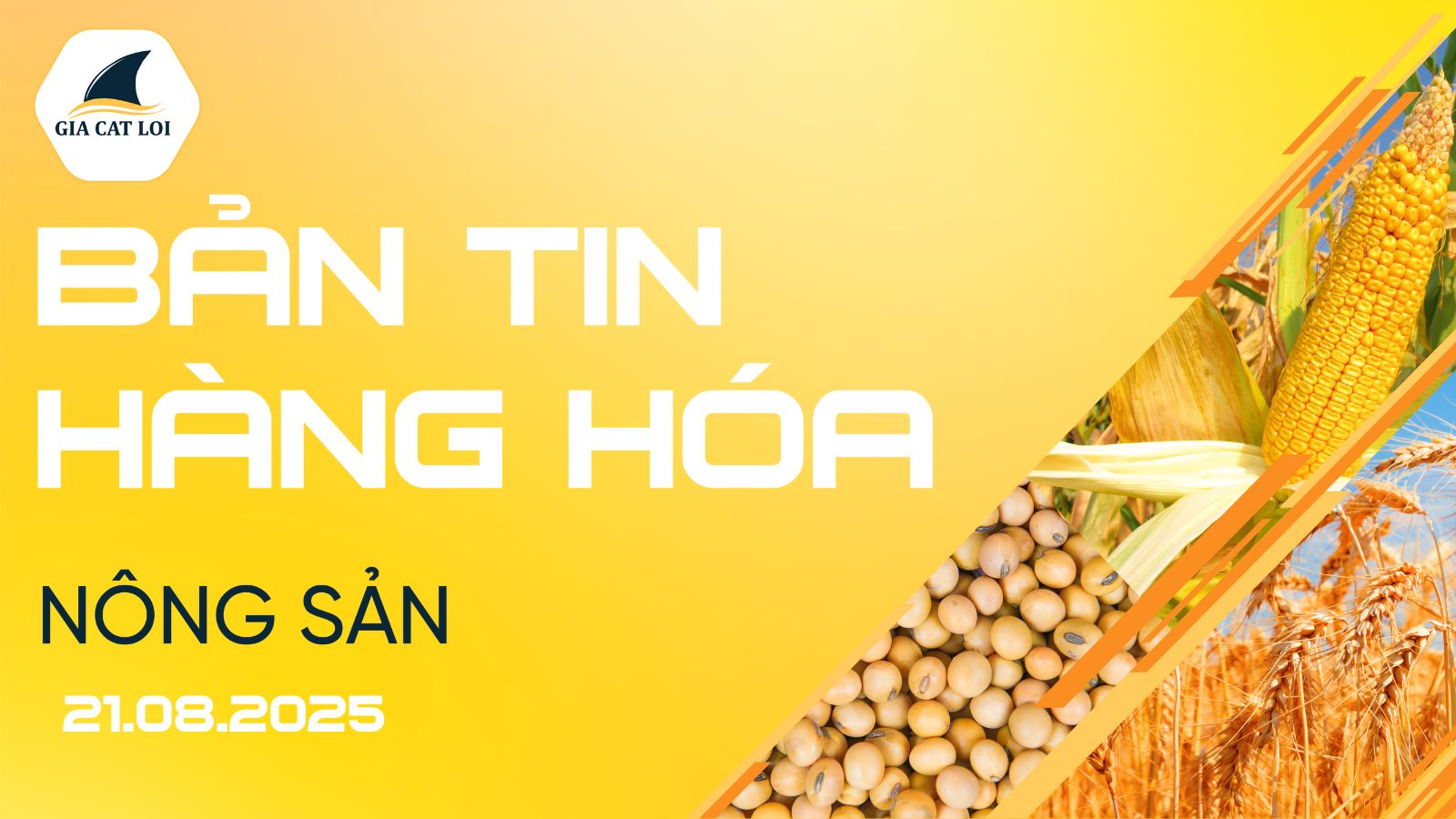 Bản Tin Nhóm Nông Sản Ngày 21/08/2025