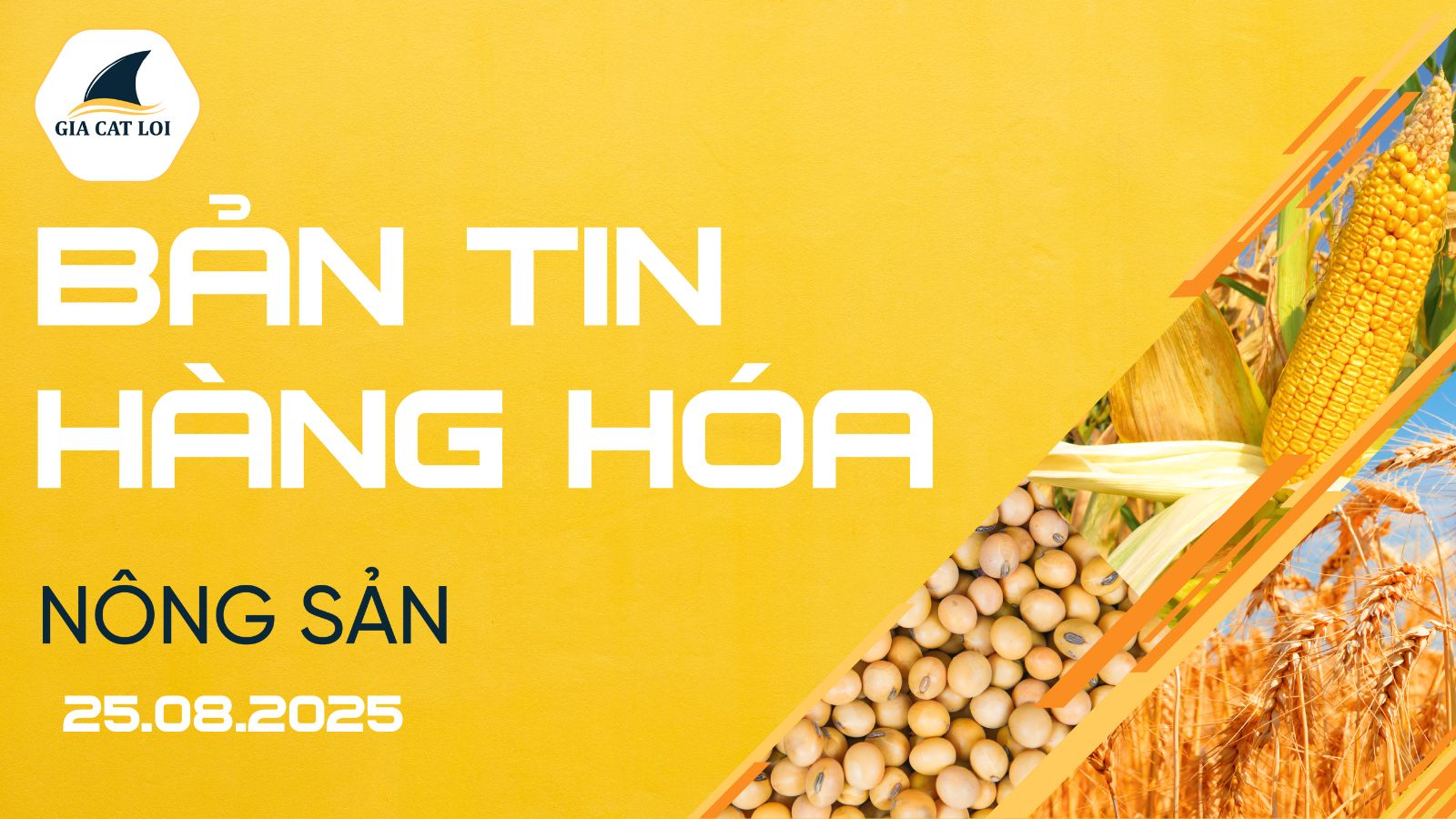 Bản Tin Nhóm Nông Sản Ngày 25/08/2025
