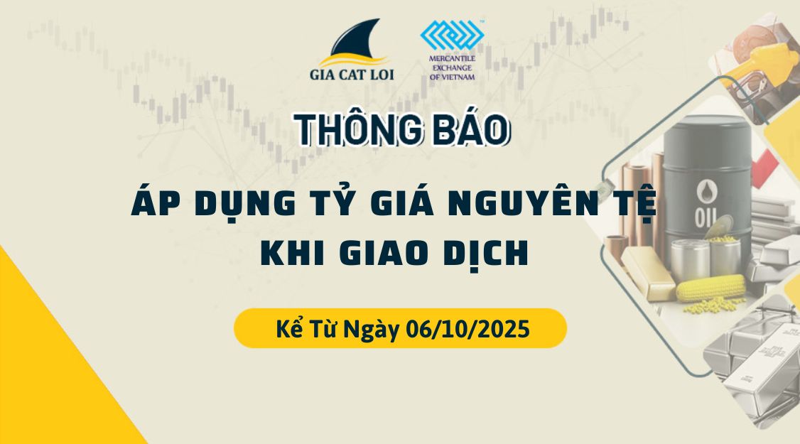 Thông Báo Áp Dụng Tỷ Giá Nguyên Tệ Kể Từ Ngày 06/10/2025