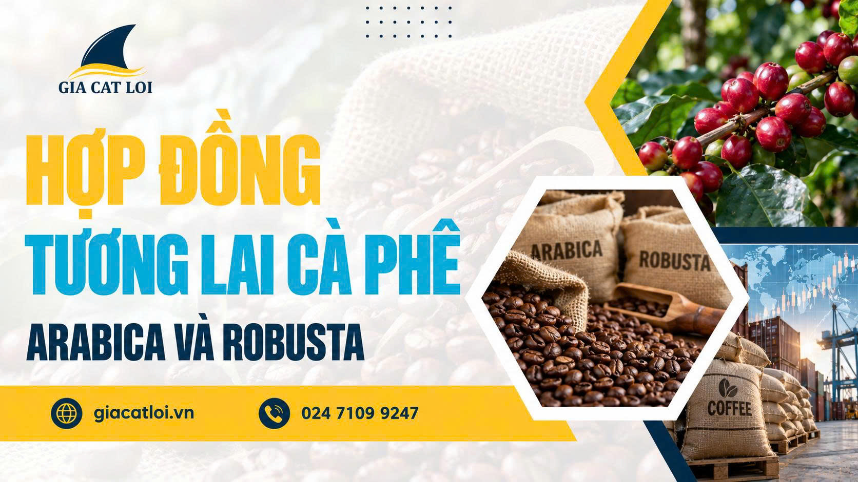 Hợp Đồng Tương Lai Cà Phê Là Gì? Arabica Và Robusta