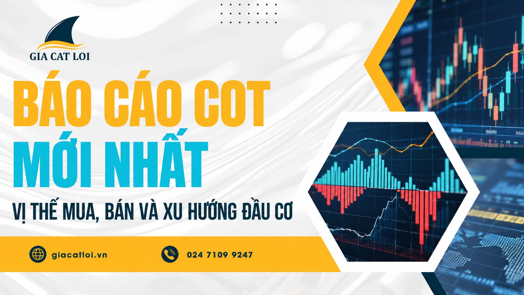 Báo Cáo COT Mới Nhất – Vị Thế Mua, Bán Và Xu Hướng Đầu Cơ