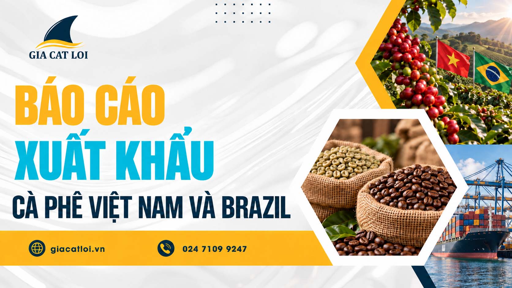 Báo Cáo Xuất Khẩu Cà Phê Việt Nam Và Brazil Hằng Tháng