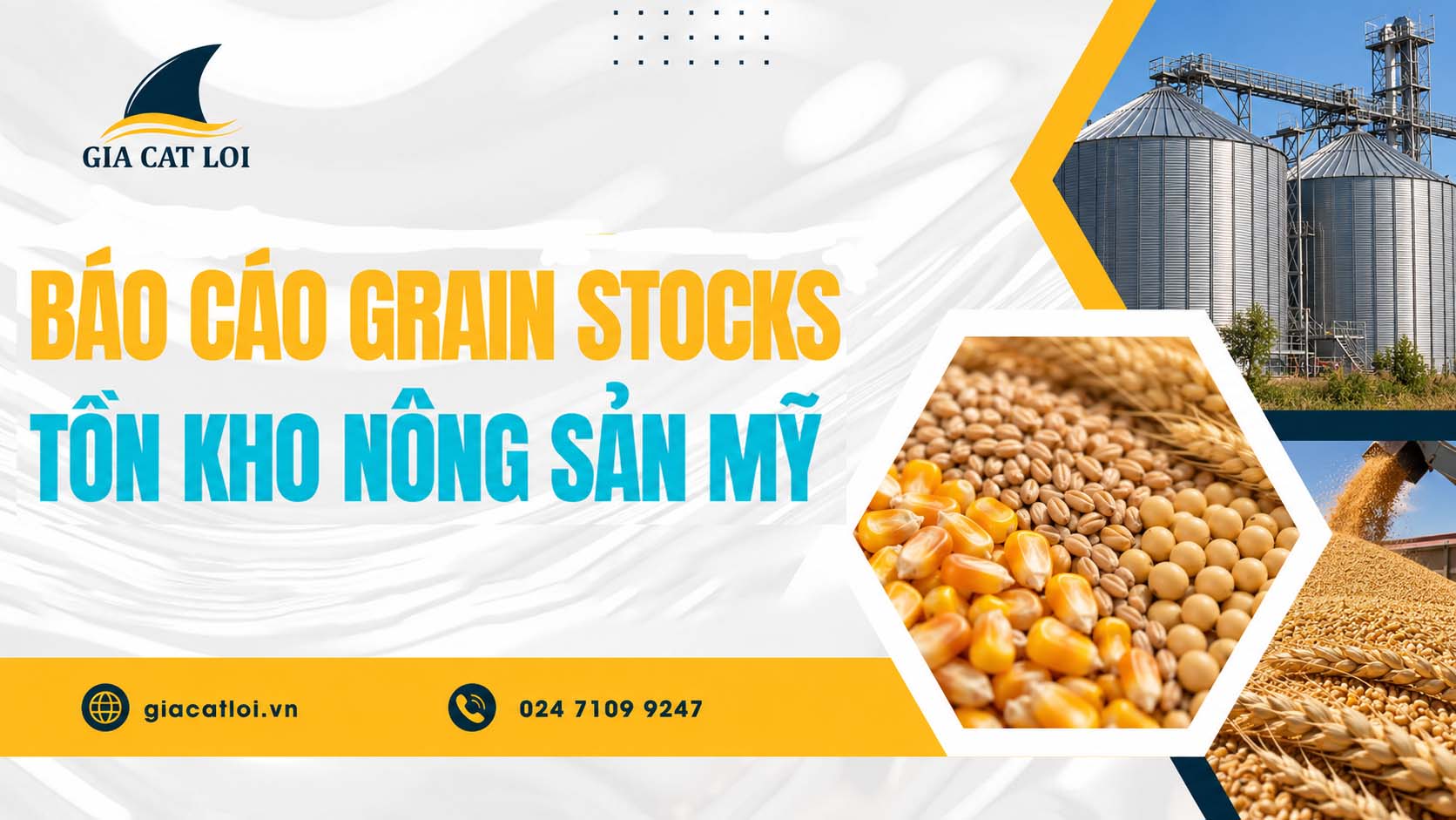 Báo Cáo Tồn Kho Ngũ Cốc Grain Stocks (USDA)